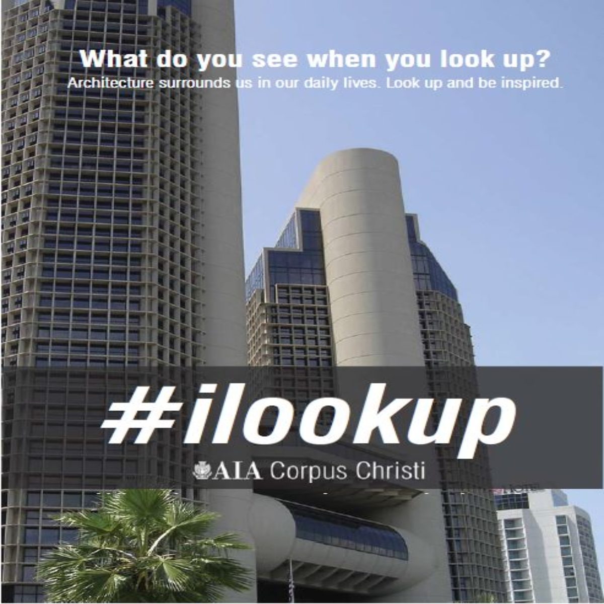 ilookup AIA Corpus Christi